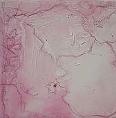 (Galeriebild)