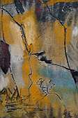 (Galeriebild)