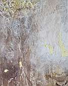 (Galeriebild)