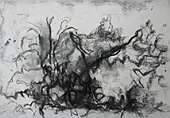 (Galeriebild)