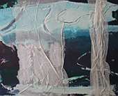 (Galeriebild)