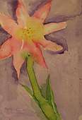 (Galeriebild)