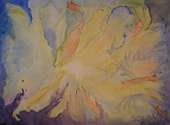 (Galeriebild)