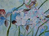 (Galeriebild)
