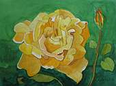 (Galeriebild)