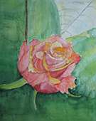 (Galeriebild)