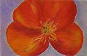 (Galeriebild)