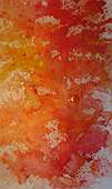 (Galeriebild)