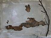 (Galeriebild)