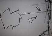 (Galeriebild)