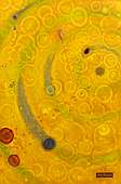 (Galeriebild)